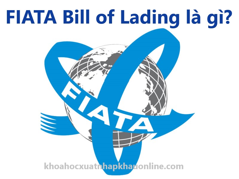 FIATA Bill Of Lading (FBL) Là Gì?