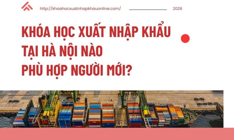 Khóa Học Xuất Nhập Khẩu Tại Hà Nội Nào Phù Hợp Người Mới?