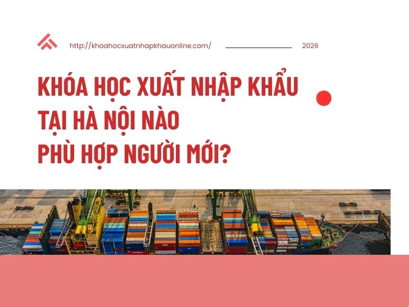 Khóa Học Xuất Nhập Khẩu Tại Hà Nội Nào Phù Hợp Người Mới?